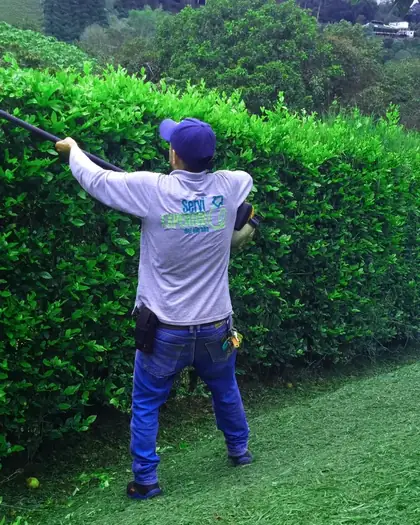 Jardinero podando un seto