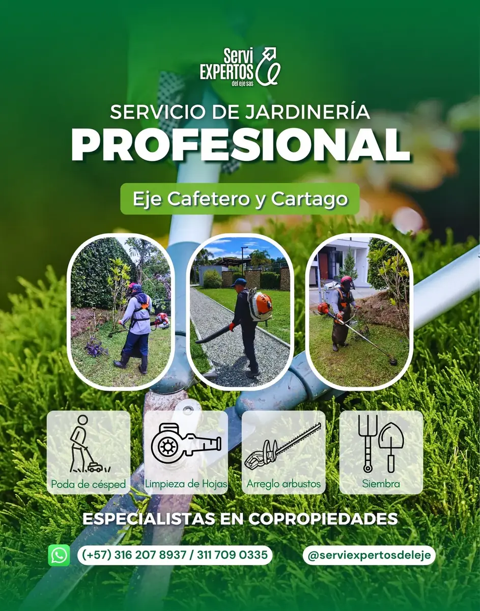 Publicación: servicio de jardinería profesional