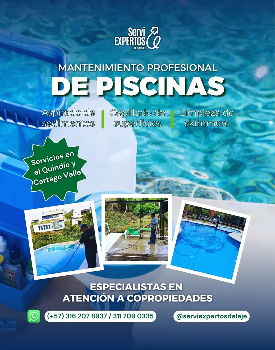 Publicación: mantenimiento profesional de piscinas